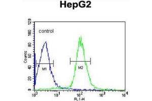 Flow cytometric analysis of HepG2 cells using DIPA Antibody  (right histogram) compared to a negative control cell (left histogram).
