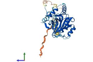 Protein Structure (PS) image for Snurportin 1 (SNUPN) (AA 1-358) protein (His tag) (ABIN7558381)