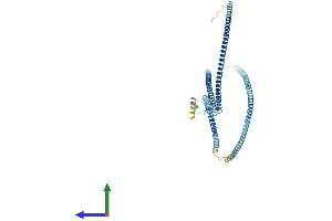 Protein Structure (PS) image for Meiosis-Specific Nuclear Structural 1 (MNS1) (AA 1-495) protein (His tag) (ABIN7549488)