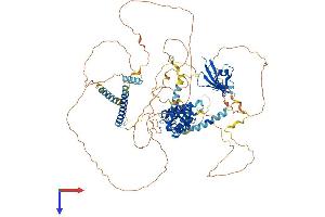 Axin Protein (AA 1-863) (His tag)
