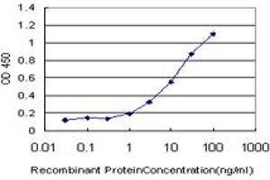 Detection limit for recombinant GST tagged PAX8 is approximately 1ng/ml as a capture antibody. (PAX8 Antikörper  (AA 300-377))