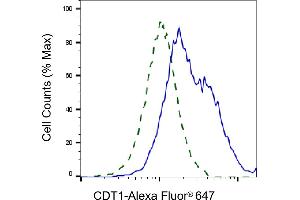 Validation of CDT1 knockdown using flow cytometry. (Rekombinanter CDT1 Antikörper)
