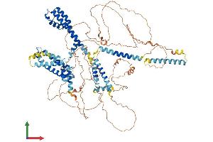 Protein Structure (PS) image for Potassium Voltage-Gated Channel, KQT-Like Subfamily, Member 2 (KCNQ2) (AA 1-872) protein (His tag) (ABIN7554287)