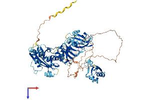 ESRP2 Protein (AA 1-717) (His tag)