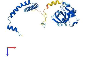 NSA2 Protein (AA 1-260) (His tag)