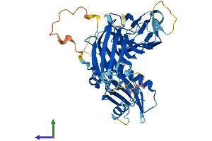 Protein Structure (PS) image for Adaptor-Related Protein Complex 4, mu 1 Subunit (Ap4m1) (AA 1-449) protein (His tag) (ABIN7561630)