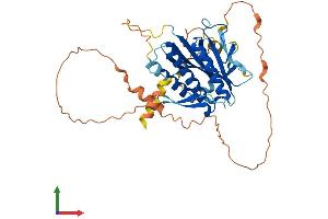 Protein Structure (PS) image for HORMA Domain Containing 1 (HORMAD1) (AA 1-392) protein (His tag) (ABIN7564987)