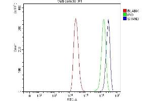 Flow Cytometry analysis of THP-1 cells using anti-STMN3 antibody (ABIN7600886). (Stathmin 3 Antikörper  (AA 25-156))