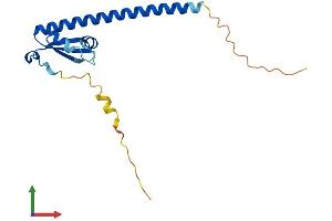 Protein Structure (PS) image for Oocyte Expressed Protein (OOEP) (AA 1-164) protein (His tag) (ABIN7560661)
