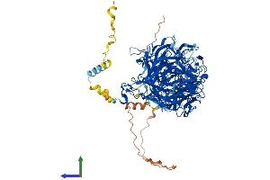 Protein Structure (PS) image for Coronin 7 (CORO7) (AA 1-922) protein (His tag) (ABIN7564977)