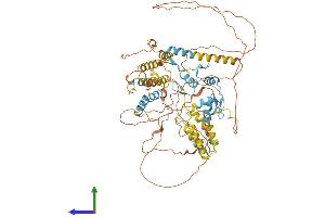 Protein Structure (PS) image for Hypermethylated in Cancer 1 (HIC1) (AA 1-733) protein (His tag) (ABIN7554080)