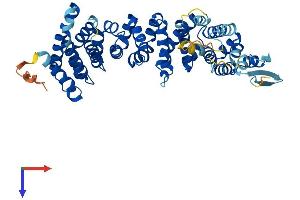 Ataxin 10 Protein (ATXN10) (AA 1-475) (His tag)