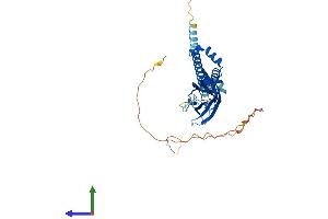 Protein Structure (PS) image for Berardinelli-Seip Congenital Lipodystrophy 2 (Seipin) (BSCL2) (AA 1-383) protein (His tag) (ABIN7556426)