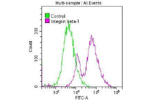 Overlay histogram showing MCF-7 cells stained with ABIN7127584 (red line) at 1:50. (Rekombinanter ITGB1 Antikörper)