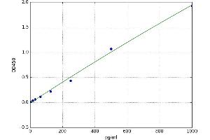 A typical standard curve