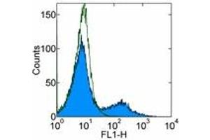 Image no. 1 for anti-CD36 (CD36) antibody (FITC) (ABIN474150) (CD36 Antikörper  (FITC))