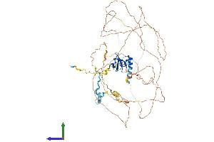 Protein Structure (PS) image for PML-RARA Regulated Adaptor Molecule 1 (PRAM1) (AA 1-675) protein (His tag) (ABIN7557905)