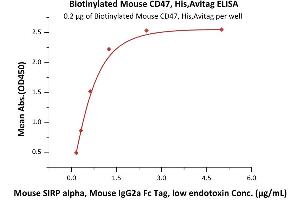 ELISA image for CD47 (CD47) (AA 19-140) (Active) protein (His tag,AVI tag,Biotin) (ABIN6950962)