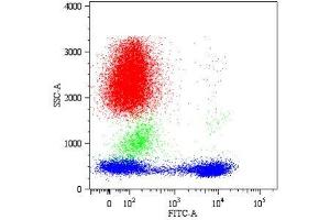 Dot plot Fig. (CD5 Antikörper  (FITC))