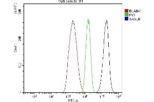 Flow Cytometry analysis of HepG2 cells using anti-TAGLN/Transgelin antibody (ABIN7600099).