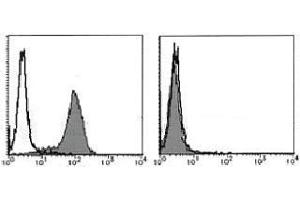 Flow Cytometry (FACS) image for anti-Fas Ligand (TNF Superfamily, Member 6) (FASL) antibody (ABIN1105941) (FASL Antikörper)