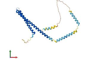 Protein Structure (PS) image for Charged Multivesicular Body Protein 4C (CHMP4C) (AA 1-232) protein (His tag) (ABIN7564993)