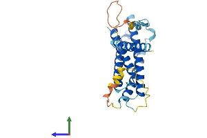 Protein Structure (PS) image for Regulator of G Protein Signaling 9 Binding Protein (RGS9BP) (AA 1-235) protein (His tag) (ABIN7551153)