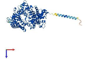 PHEX Protein (AA 1-749) (His tag)