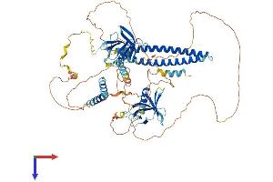 AFAP Protein (AA 1-730) (His tag)