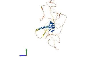AlphaFold protein structure predicition of Mouse Recombinant Etv5 Protein, UniprotID Q9CXC9