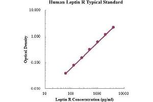 ELISA image for Leptin Receptor (LEPR) ELISA Kit (ABIN3198464)