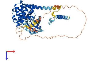 STK3 Protein (AA 1-491) (His tag)