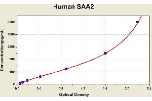 Diagramm of the ELISA kit to detect Human SAA2with the optical density on the x-axis and the concentration on the y-axis. (SAA2 ELISA Kit)