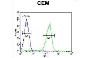 P1S Antibody (Center) (ABIN651956 and ABIN2840474) flow cytometric analysis of CEM cells (right histogram) compared to a negative control cell (left histogram).