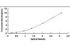 Optineurin (OPTN) ELISA Kit