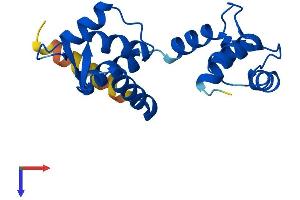 CETN3 Protein (AA 1-167) (His tag)