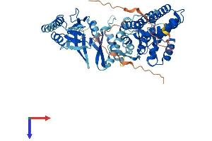 AlphaFold protein structure predicition of Human Recombinant CCT8L1P Protein, UniprotID A6NM43