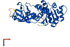 EPM2A Protein (AA 1-331) (His tag)