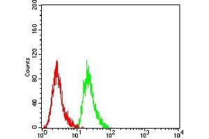 Flow cytometric analysis of Hela cells using MDM2 mouse mAb (green) and negative control (red). (MDM2 Antikörper  (AA 26-169))