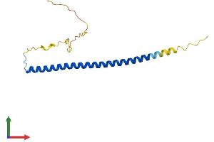 Protein Structure (PS) image for CCAAT/enhancer Binding Protein (C/EBP), gamma (CEBPG) (AA 1-150) protein (His tag) (ABIN7553120)
