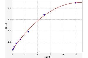 Typical standard curve (TFCP2 ELISA Kit)