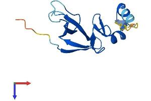 CDPF1 Protein (AA 1-123) (His tag)