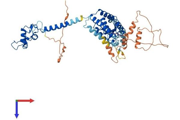 THRA Protein (AA 1-490) (His tag)
