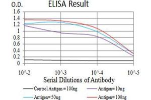 Black line: Control Antigen (100 ng);Purple line: Antigen (10ng); Blue line: Antigen (50 ng); Red line:Antigen (100 ng) (CD2 Antikörper  (AA 25-140))