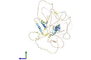 Protein Structure (PS) image for LIM Domain and Actin Binding 1 (LIMA1) (AA 1-753) protein (His tag) (ABIN7561434)