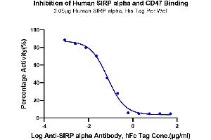Binding Studies (Bind) image for Signal-Regulatory Protein alpha (SIRPA) (AA 31-370) protein (His tag) (ABIN7275652)