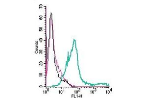 Cell surface detection of PAFR by direct flow cytometry in live intact human  megakaryoblastic leukemia cells: + Rabbit IgG isotype control-FITC. (PTAFR Antikörper  (Extracellular) (FITC))