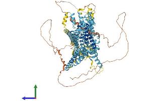 Protein Structure (PS) image for Transmembrane Channel-Like 2 (Tmc2) (AA 1-906) protein (His tag) (ABIN7555770)