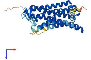OR10H1 Protein (AA 1-318) (His tag)