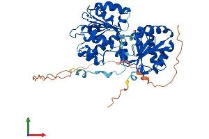 Protein Structure (PS) image for DEAD (Asp-Glu-Ala-Asp) Box Polypeptide 6 (DDX6) (AA 1-483) protein (His tag) (ABIN7547018)
